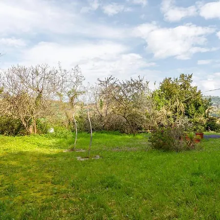 度假居 Il Casale Degli Allori A 20 Minuti Dalla Riviera Del Conero *
